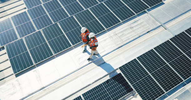Best Roof Moss and Algae Removal  in Poway, CA
